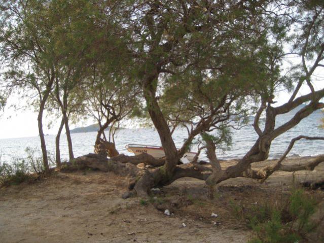 Name:  IMG_4570.jpg
Views: 1403
Size:  66.7 KB