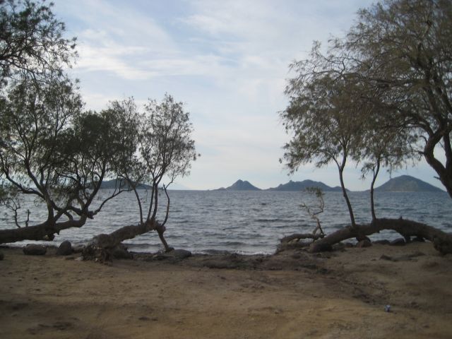 Name:  IMG_4568.JPG
Views: 1378
Size:  68.0 KB