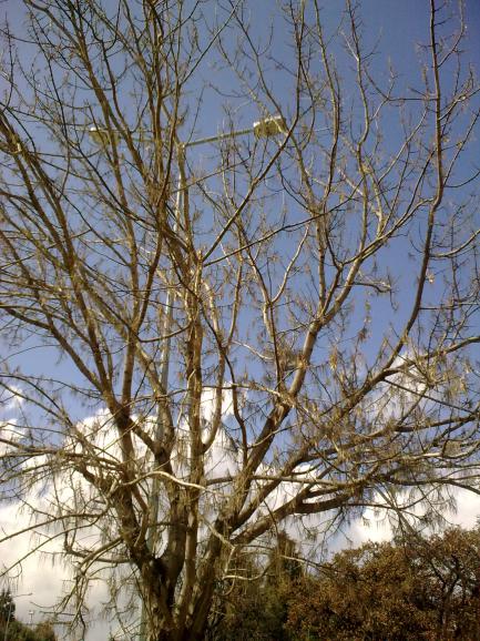 Name:  19032011_005.jpg
Views: 956
Size:  76.6 KB