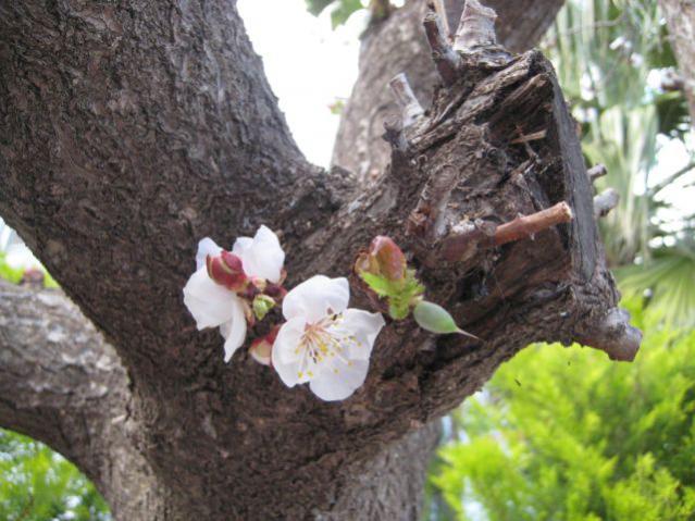 Name:  IMG_5703.jpg
Views: 559
Size:  54.3 KB