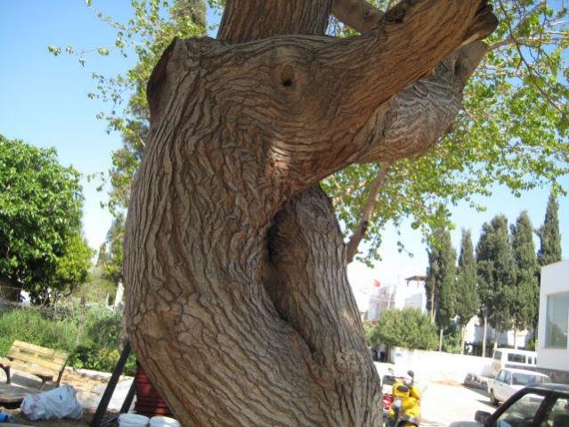 Name:  IMG_5849.jpg
Views: 1633
Size:  69.0 KB