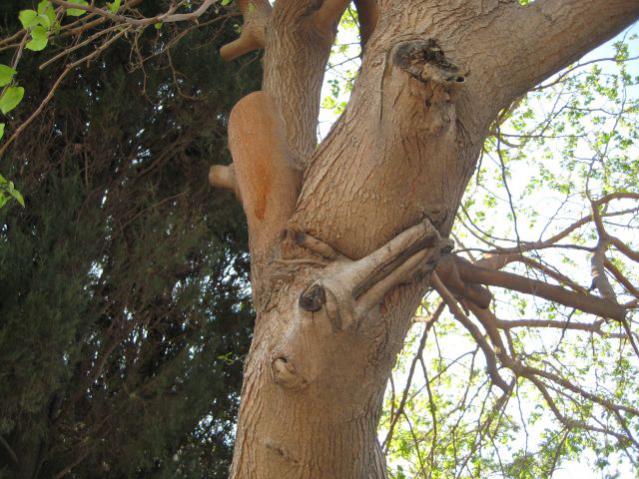 Name:  IMG_5880.jpg
Views: 2047
Size:  64.5 KB