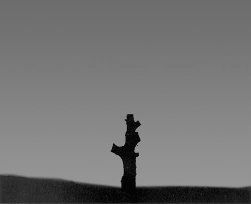 Name:  budama2.jpg
Views: 5362
Size:  7.4 KB