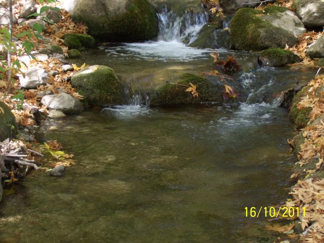 Name:  Resim 911.jpg
Views: 561
Size:  61.8 KB