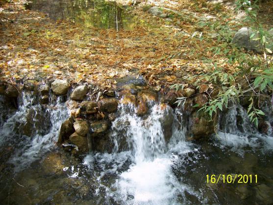Name:  Resim 921.jpg
Views: 609
Size:  71.5 KB