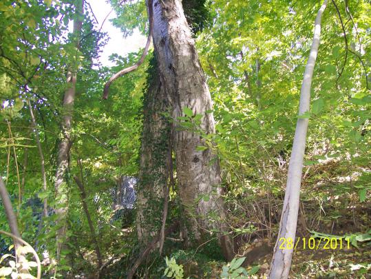 Name:  Resim 071.jpg
Views: 413
Size:  72.3 KB