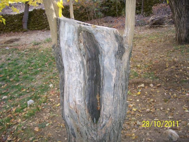 Name:  Resim 110.jpg
Views: 380
Size:  70.6 KB