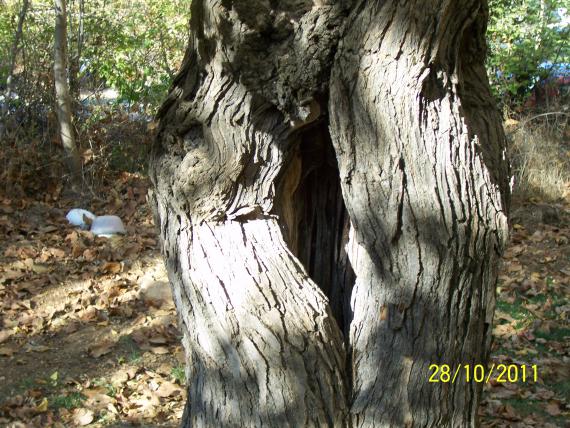 Name:  Resim 105.jpg
Views: 464
Size:  72.5 KB