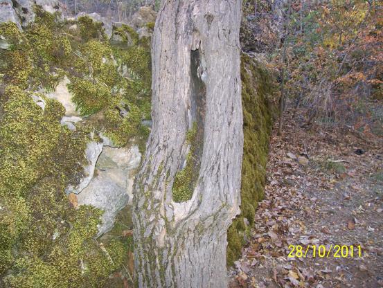 Name:  Resim 107.jpg
Views: 386
Size:  70.0 KB