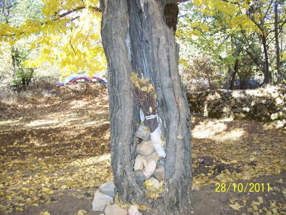 Name:  Resim 108.jpg
Views: 416
Size:  71.9 KB