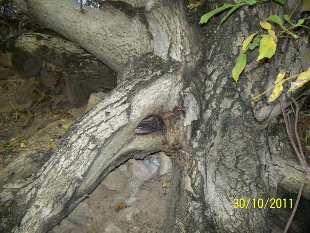 Name:  Resim 164.jpg
Views: 717
Size:  70.8 KB