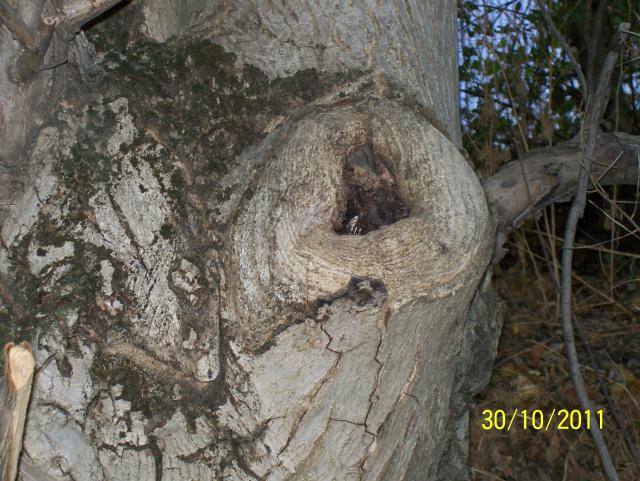 Name:  Resim 165.jpg
Views: 760
Size:  70.3 KB