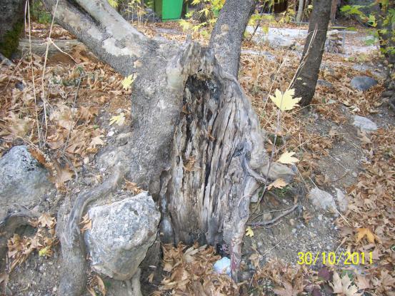 Name:  Resim 180.jpg
Views: 733
Size:  71.5 KB