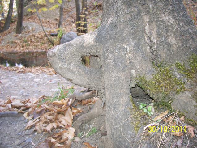 Name:  Resim 182.jpg
Views: 689
Size:  70.1 KB