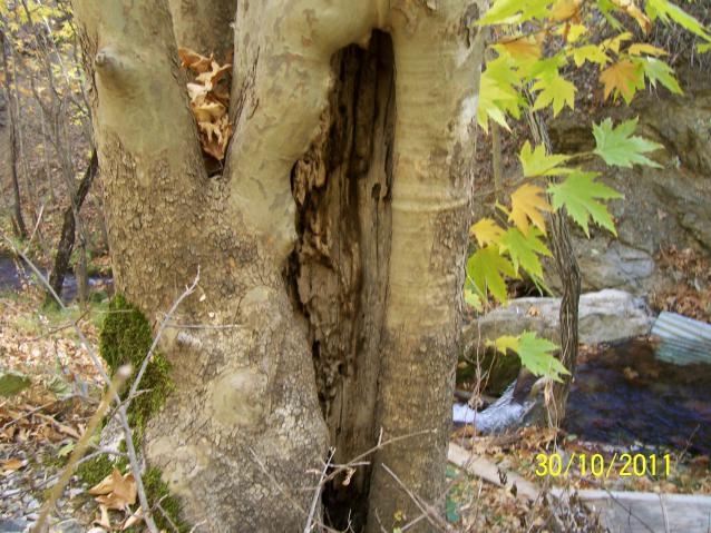 Name:  Resim 184.jpg
Views: 705
Size:  70.0 KB