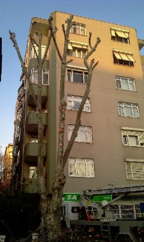Name:  IMAG0239_459x768_292x490.jpg
Views: 1032
Size:  27.4 KB