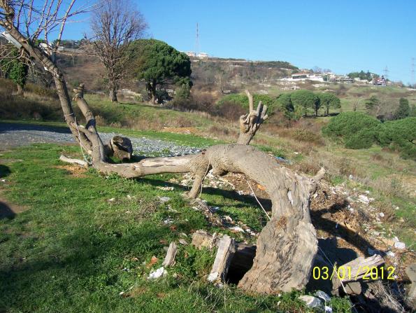 Name:  Resim 006.jpg
Views: 586
Size:  70.4 KB