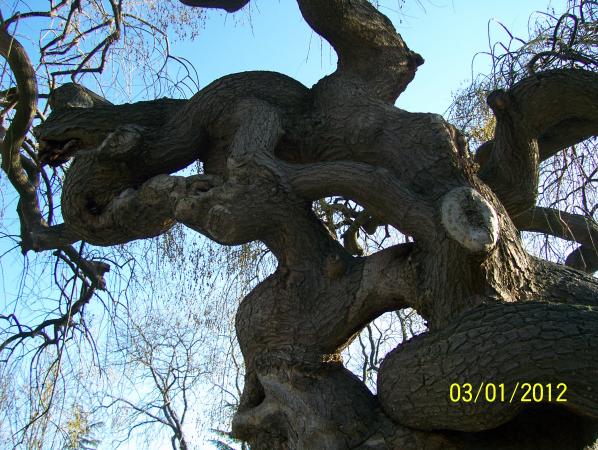 Name:  Resim 012.jpg
Views: 579
Size:  71.0 KB