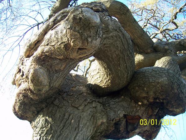 Name:  Resim 015.jpg
Views: 640
Size:  71.1 KB