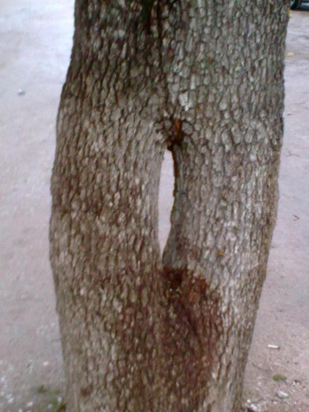 Name:  10042012_007.jpg
Views: 501
Size:  70.6 KB