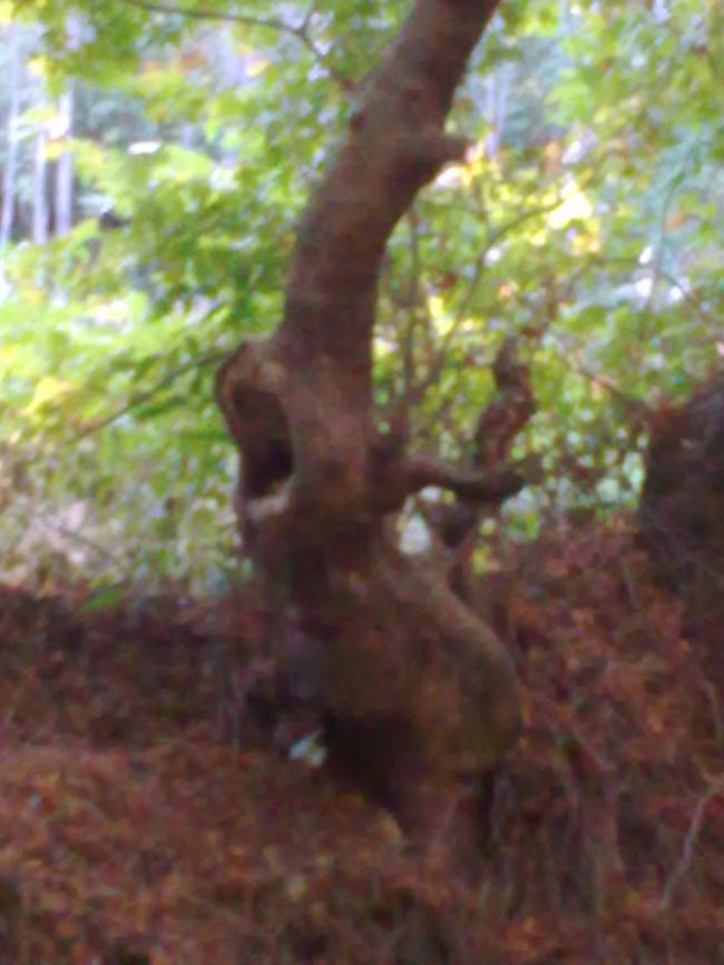 Name:  18092011_144.jpg
Views: 626
Size:  55.8 KB