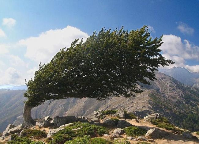 Name:  Aa gvde ve kkleri.jpg
Views: 1041
Size:  62.0 KB