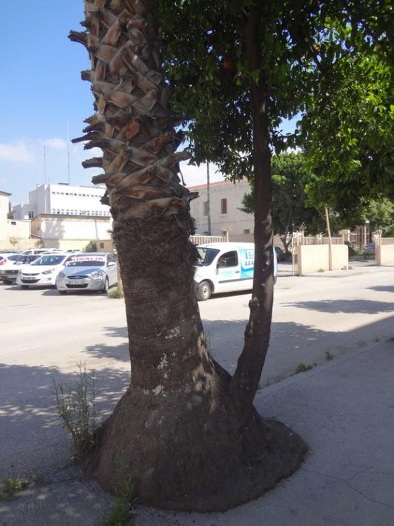 Name:  Resim 093.jpg
Views: 3688
Size:  66.9 KB