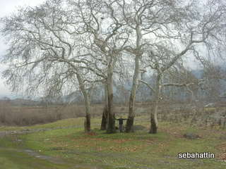 Name:  DSCN7361.JPG
Views: 24655
Size:  16.0 KB