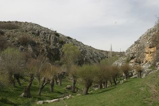 Name:  4.JPG
Views: 959
Size:  23.2 KB