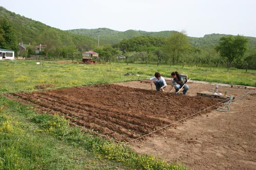 Name:  hom-5.jpg
Views: 2276
Size:  43.2 KB