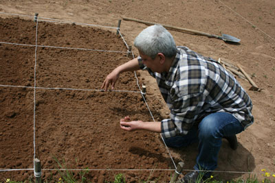 Name:  tohumekme.jpg
Views: 2526
Size:  38.1 KB