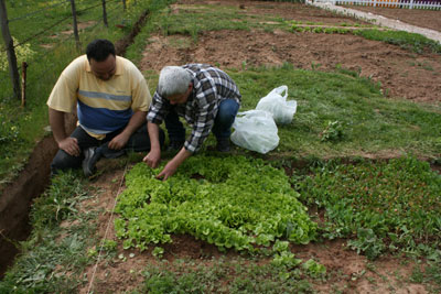 Name:  komsu.jpg
Views: 2781
Size:  42.2 KB