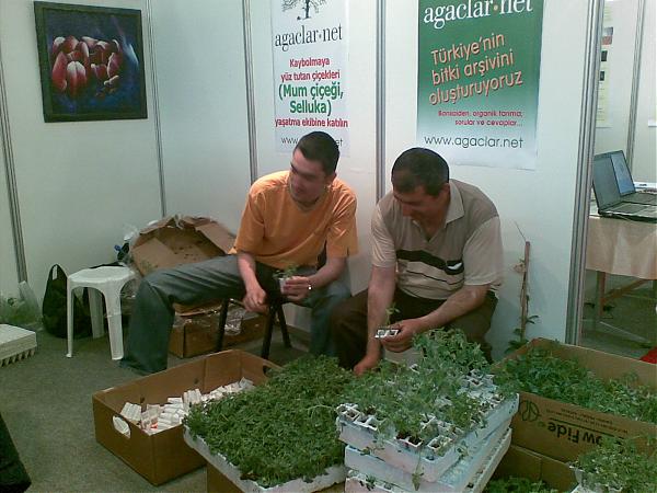 Name:  24052007(011).jpg
Views: 403
Size:  50.2 KB