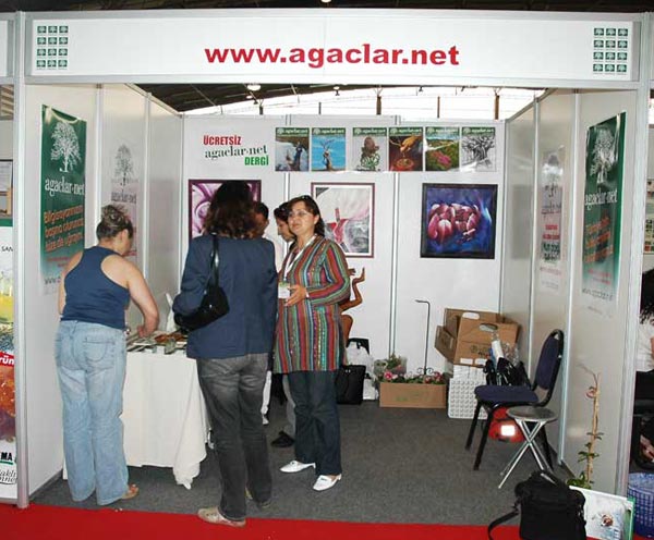 Name:  bf-2.jpg
Views: 594
Size:  60.4 KB