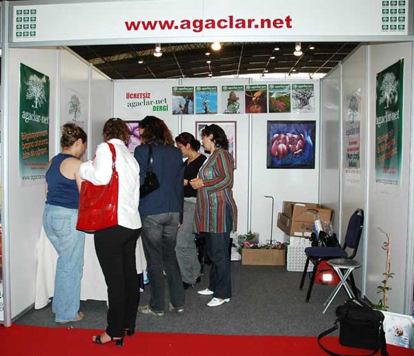 Name:  bf-4.jpg
Views: 636
Size:  63.1 KB