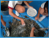 Name:  Picture2.png
Views: 674
Size:  64.7 KB