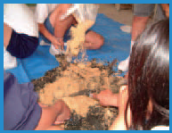 Name:  Picture1.png
Views: 554
Size:  60.2 KB