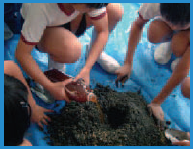 Name:  Picture3.png
Views: 569
Size:  62.3 KB