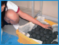 Name:  Picture4.png
Views: 490
Size:  52.2 KB