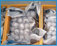 Name:  Picture5.png
Views: 482
Size:  63.6 KB