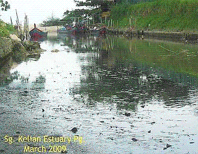 Name:  resim 1_malezya.GIF
Views: 921
Size:  51.3 KB