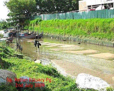 Name:  resim2_malezya.GIF
Views: 873
Size:  62.9 KB