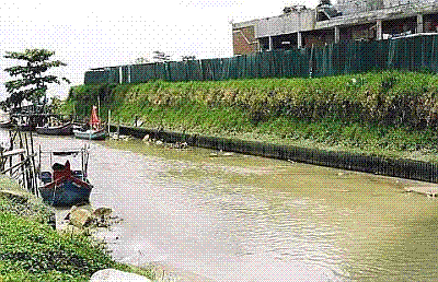 Name:  resim3_malezya.GIF
Views: 892
Size:  42.8 KB