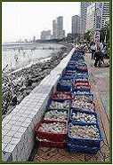 Name:  toplarbekliyor.JPG
Views: 445
Size:  35.7 KB