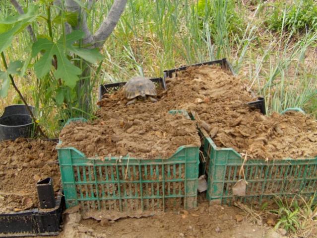 Name:  dosya1 (8) [640x480].jpg
Views: 2182
Size:  69.7 KB