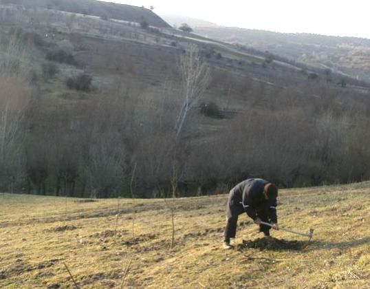 Name:  Hamdi amca.jpg
Views: 970
Size:  34.9 KB