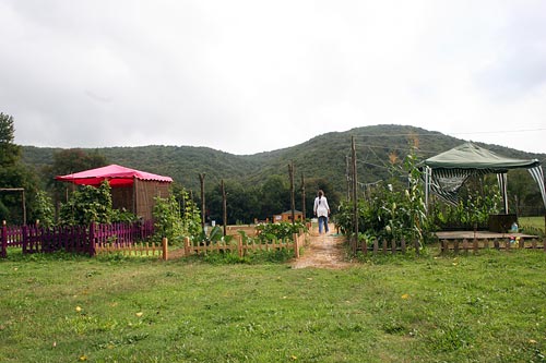 Name:  6.jpg
Views: 10880
Size:  38.0 KB