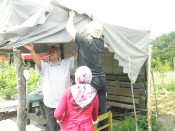 Name:  P7051524 (600 x 450).jpg
Views: 480
Size:  59.5 KB