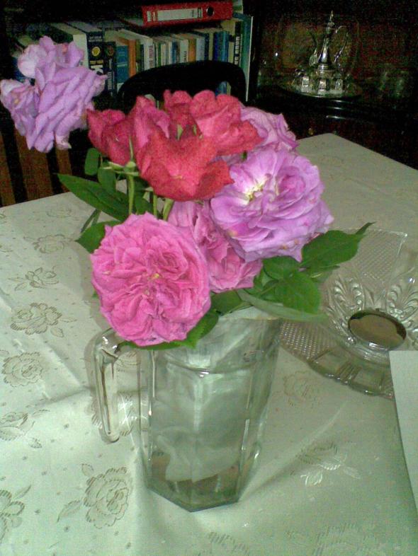 Name:  04062012(001).jpg
Views: 6069
Size:  70.8 KB