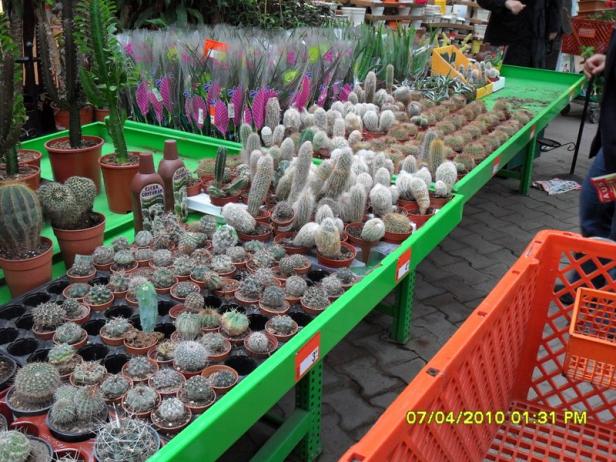 Name:  SDC12195.jpg
Views: 1178
Size:  71.0 KB